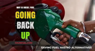 The Rising Cost of Diesel: Why the Price Surge?