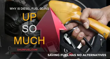 The Rising Cost of Diesel: Understanding the Surge