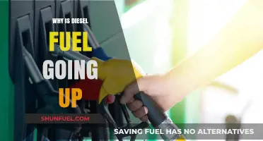 The Rising Cost of Diesel: Why the Price Surge?