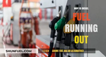 Diesel Crisis: Understanding the Looming Fuel Shortage