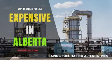 Alberta's Diesel Fuel Crisis: Why So Expensive?