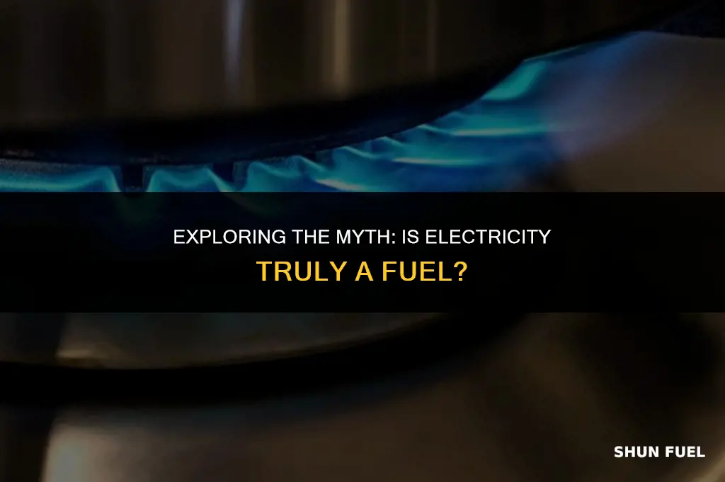 why is electricity a fuel