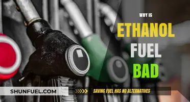 The Hidden Pitfalls of Ethanol Fuel: An Environmental and Economic Analysis