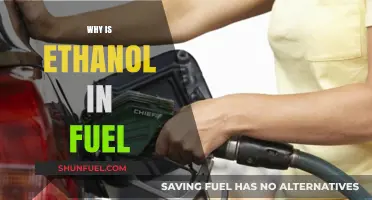 Ethanol in Fuel: Understanding Its Role and Benefits
