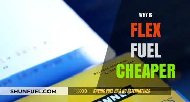 Exploring the Cost Benefits of Flex Fuel Vehicles