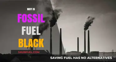 The Dark Truth: Why Fossil Fuels Appear Black