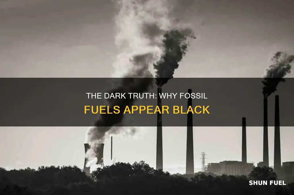 why is fossil fuel black