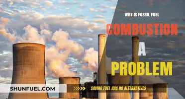 Fossil Fuel Combustion: Environmental Impacts and Urgent Need for Change