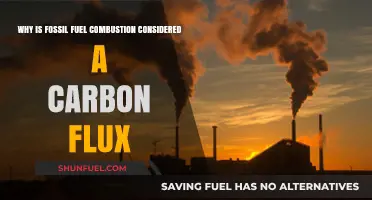 Fossil Fuel Combustion: A Major Carbon Flux Explained