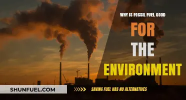 Fossil Fuels' Surprising Environmental Benefits: A Balanced Perspective