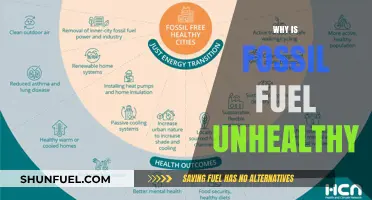 Fossil Fuels' Hidden Costs: Health Hazards and Environmental Impact