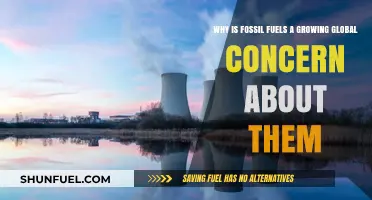 Fossil Fuels: Global Concern Over Climate Change