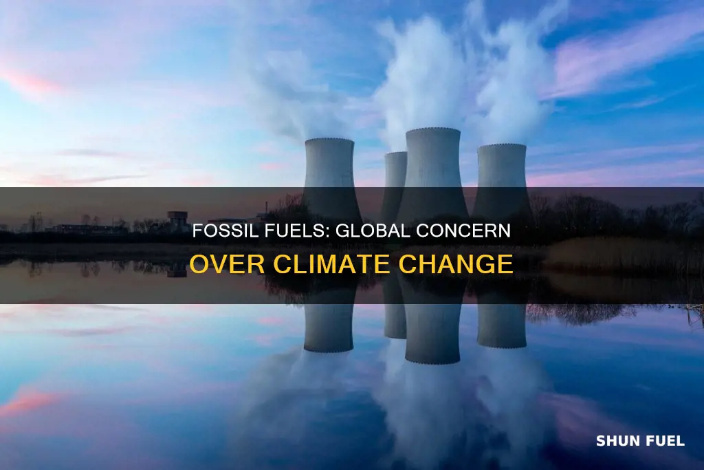 why is fossil fuels a growing global concern about them