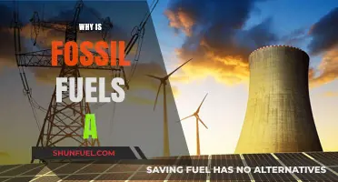 Why Fossil Fuels Remain a Dominant Energy Source Today