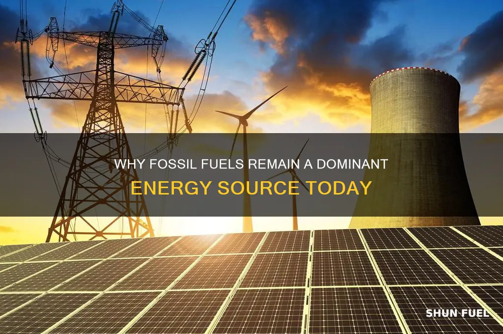 why is fossil fuels a