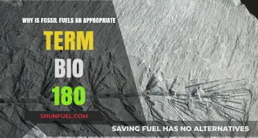 Fossil Fuels: Accurate Terminology for Ancient Organic Energy Sources in Bio 180