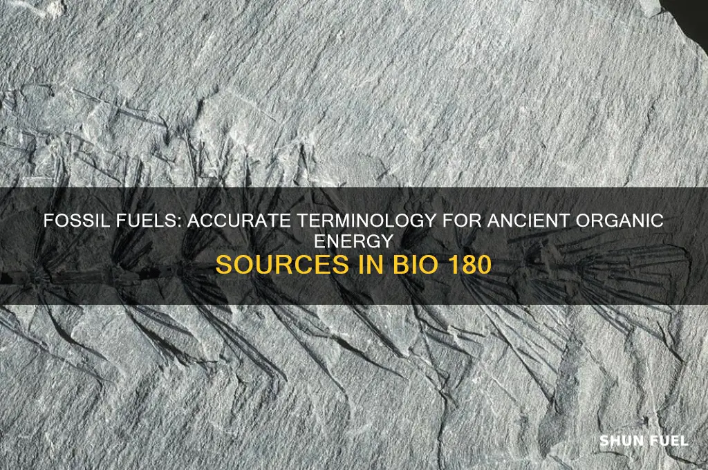 why is fossil fuels an appropriate term bio 180