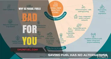 Fossil Fuels' Hidden Dangers: Health, Environment, and Future Risks