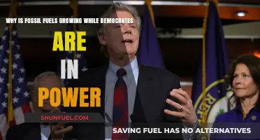 Fossil Fuels: Democrats' Power Play or Necessary Evil?