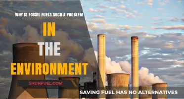 Fossil Fuels' Environmental Impact: A Growing Global Crisis Explained
