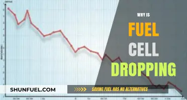 Exploring the Decline: Factors Behind Fuel Cell Technology's Drop