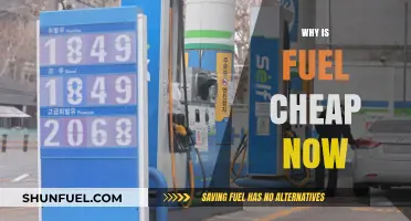Exploring the Economic Factors Behind Today's Affordable Fuel Prices