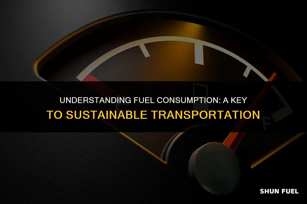 why is fuel consumption important
