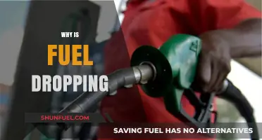 Exploring the Reasons Behind the Recent Fuel Price Drop