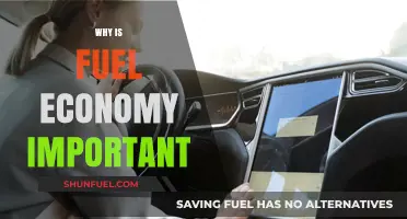 Revving Towards Efficiency: The Critical Role of Fuel Economy