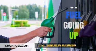 Rising Fuel Costs: Understanding the Surge in Gas Prices