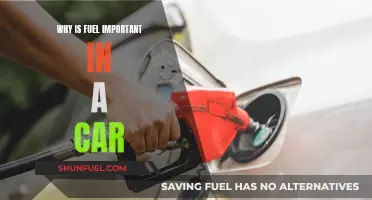Fuel: A Car's Lifeblood and Performance Enhancer