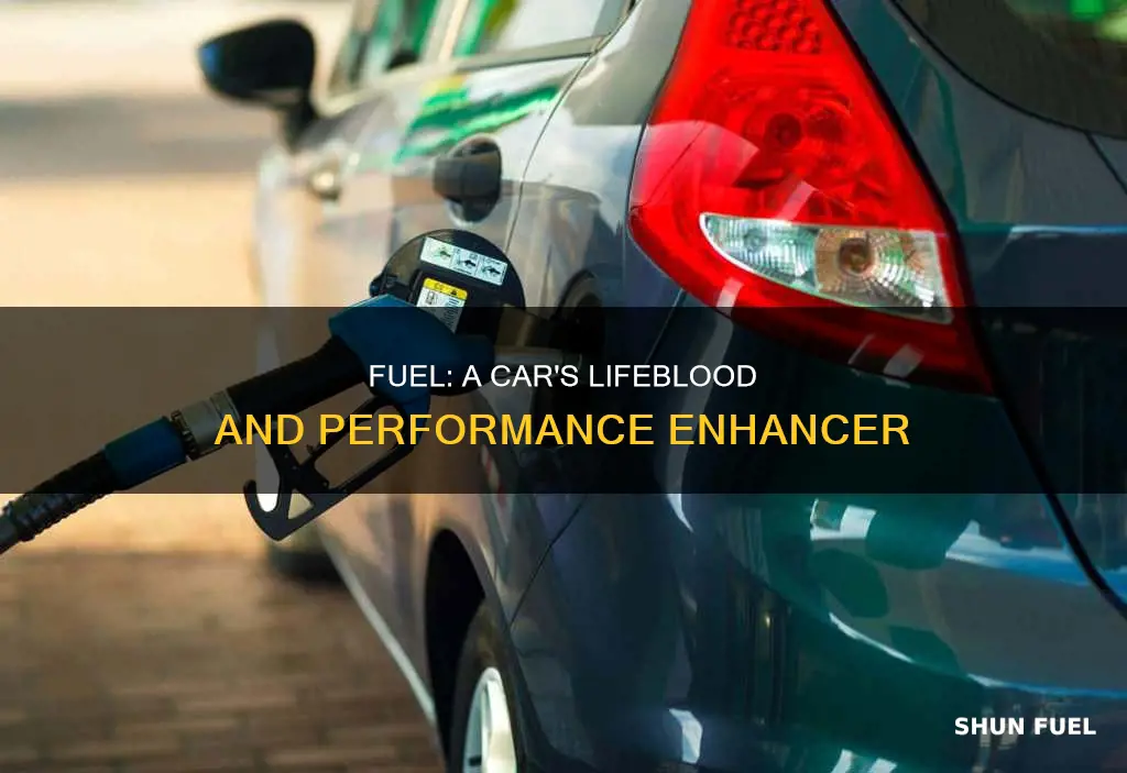why is fuel important in a car