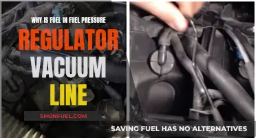 Fuel Pressure Regulator Vacuum Line: Why Fuel Inside?