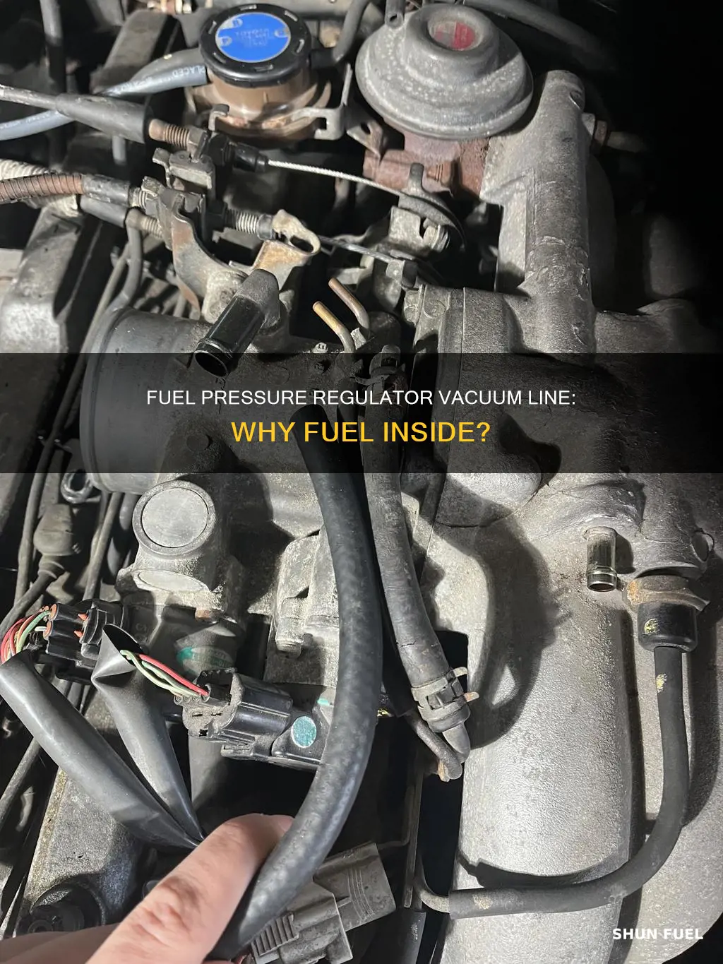 why is fuel in fuel pressure regulator vacuum line