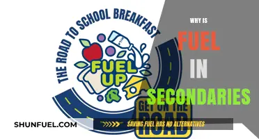 Exploring the Reasons Behind Fuel in Secondary Schools