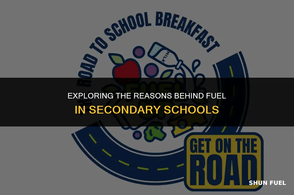 why is fuel in secondaries
