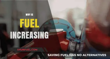 Exploring the Surge: Why Fuel Prices Are Climbing Higher