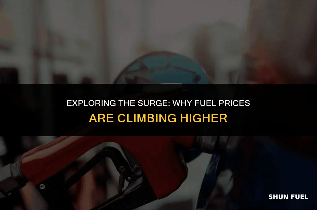 why is fuel increasing