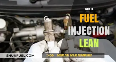 Exploring the Causes of Lean Fuel Injection in Modern Engines