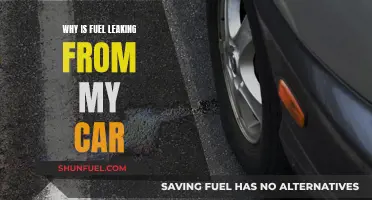 Fuel Leaks: Understanding the Causes and Solutions for Your Car