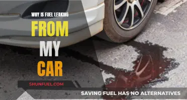 Fuel Leaking from Your Car? Here's Why and What to Do