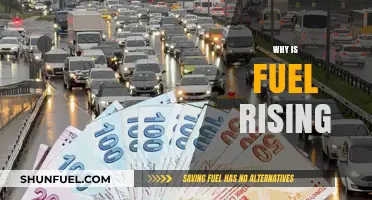 Exploring the Surge: Factors Behind Rising Fuel Costs