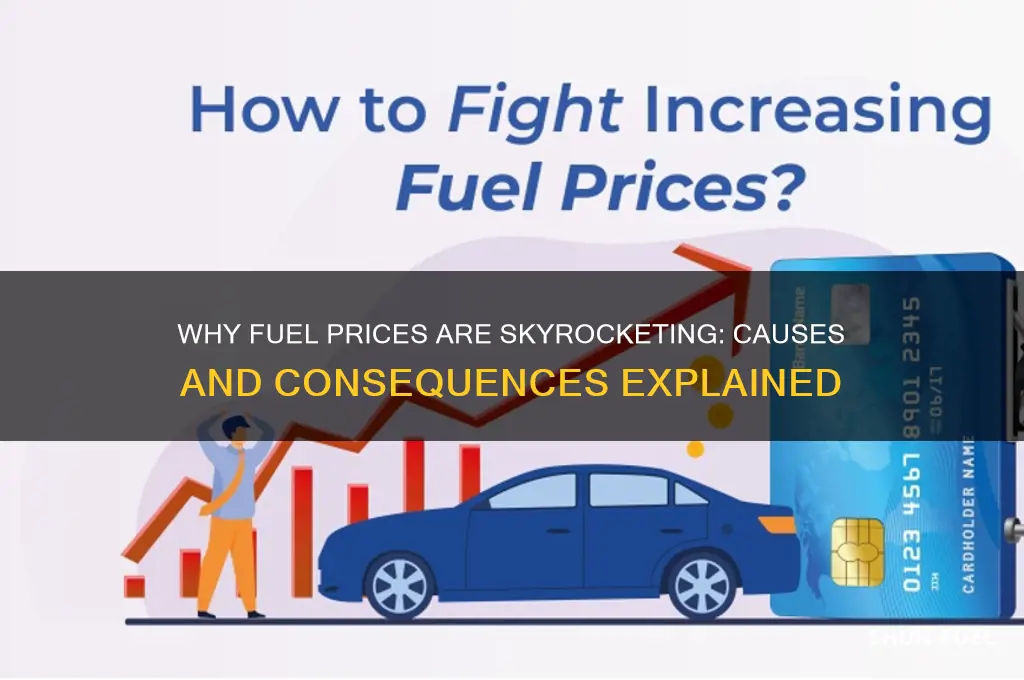 why is fuel so expensive