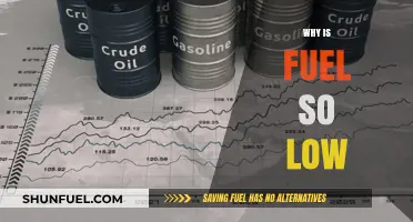 Exploring the Depths: Why Fuel Prices Have Plummeted