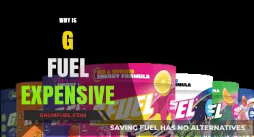 Unveiling the Cost Factors Behind G Fuel's Premium Pricing