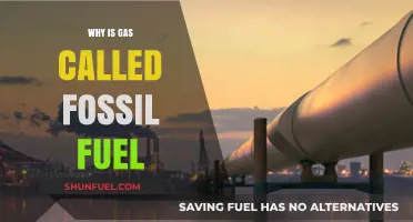 Why Gas is a Fossil Fuel: Origins and Environmental Impact