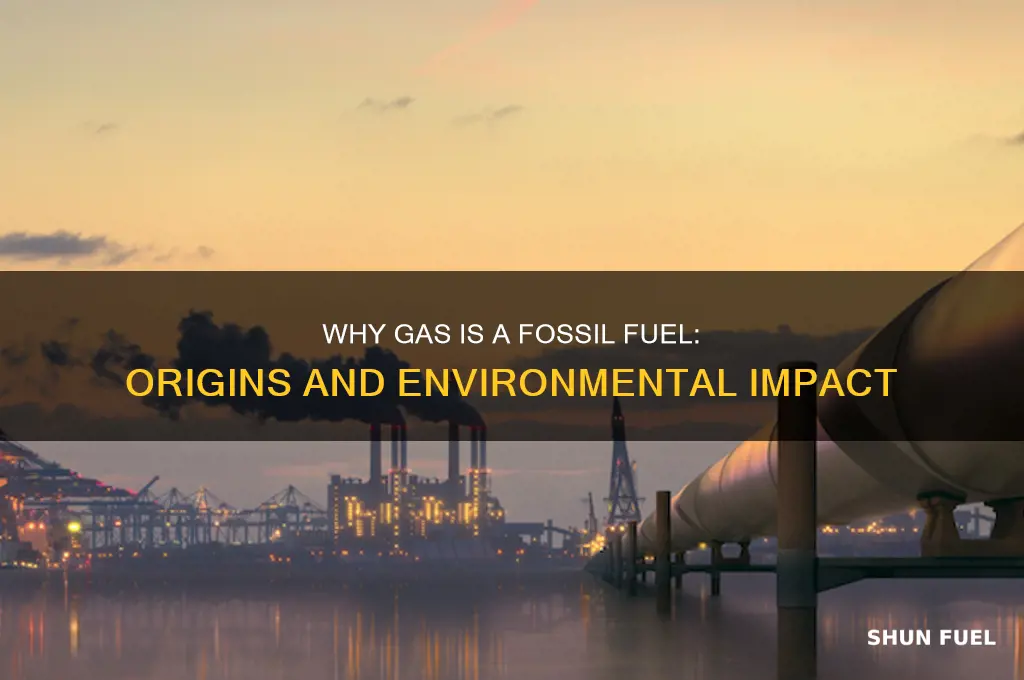 why is gas called fossil fuel