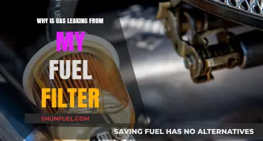 Fuel Filter Gas Leak: What's the Cause?