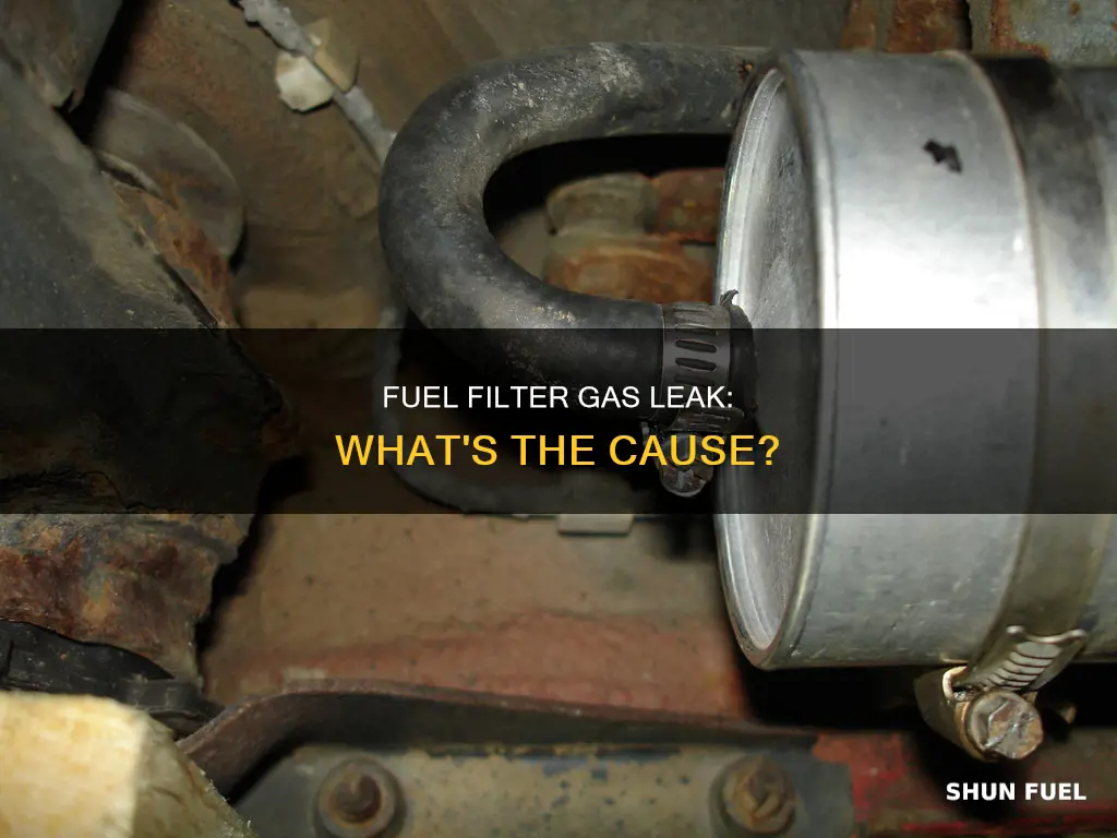 why is gas leaking from my fuel filter