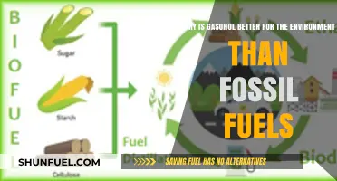 Gasohol's Green Advantage: Reducing Emissions and Environmental Impact